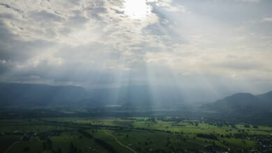 aerial photography of rays on field at daytime