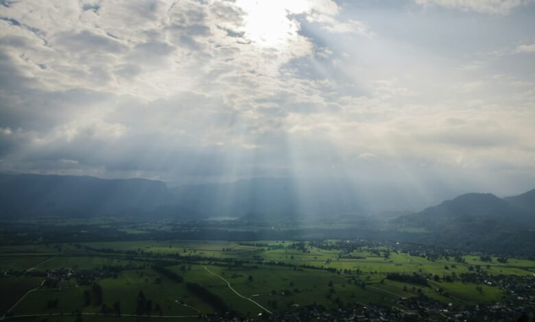 aerial photography of rays on field at daytime